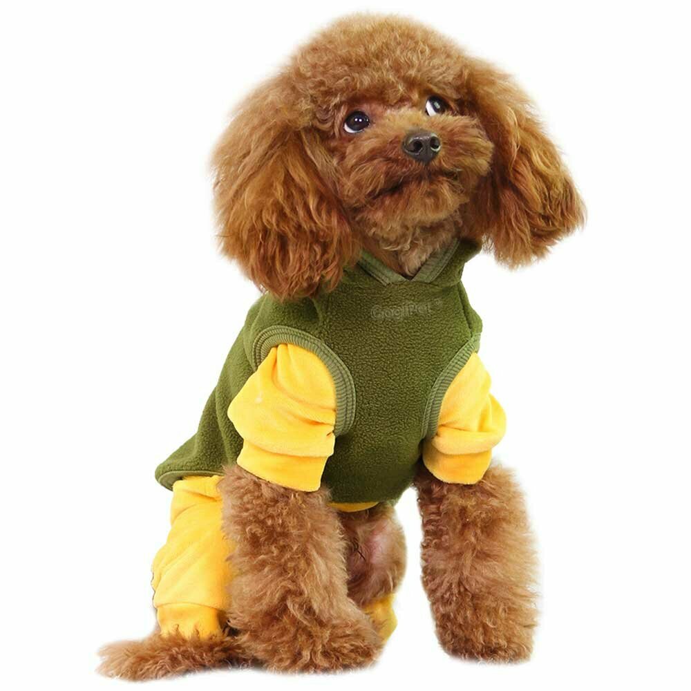 Termo velur pulover za psa, ki se lepo kombinira s kombinezoni - olivno zelena barva