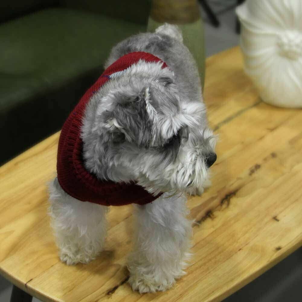 Pleten pulover za psa - bordo rdeča barva