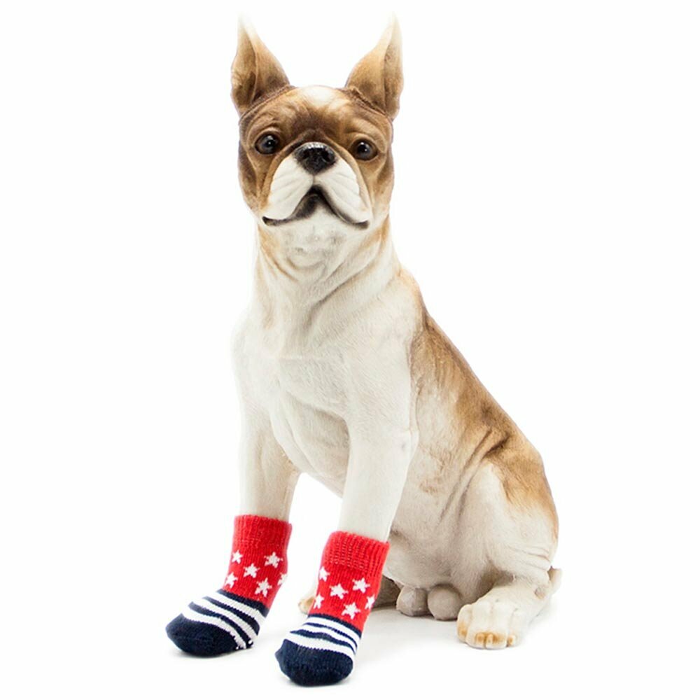Rdeče nogavice za psa "Zvezda" - oprema za pse