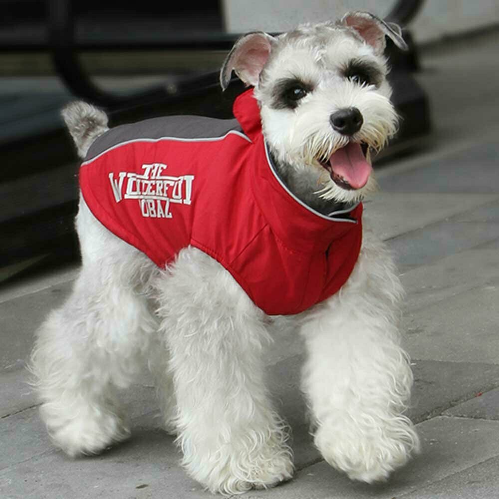 Zimski plašč za psa - rdeča barva, udobno nošenje