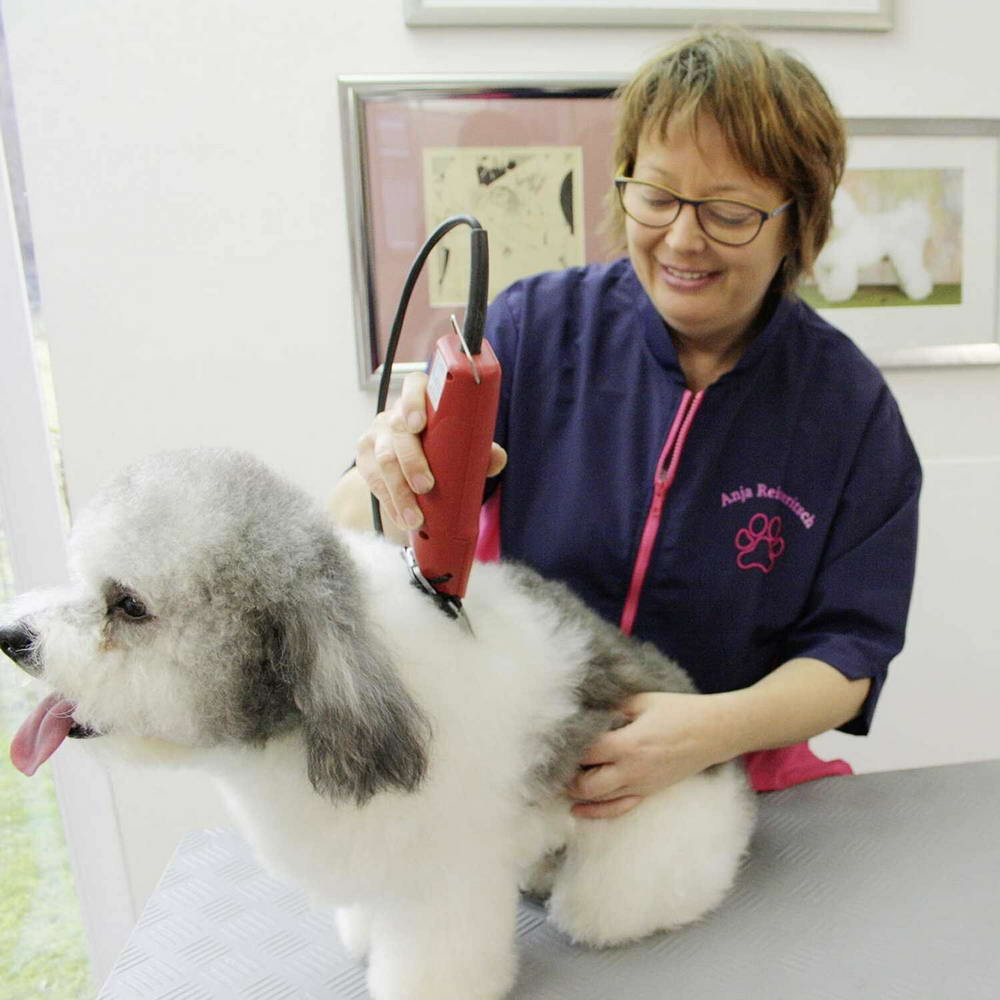 Aesculap Favorita Speed strojček za striženje psov z mehko dlako
