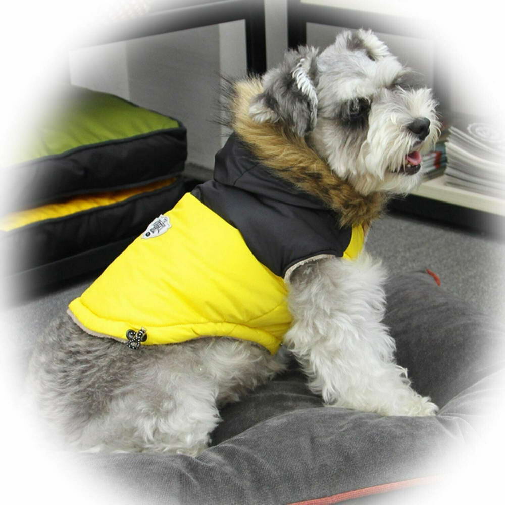 GogiPet zimsko oblačilo za psa "Giorgia" - rumena barva, udobno nošenje