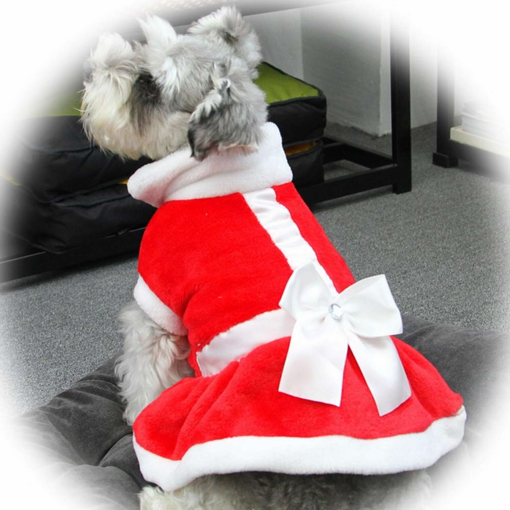 Božični plašč za psa "Girl" - udobno nošenje