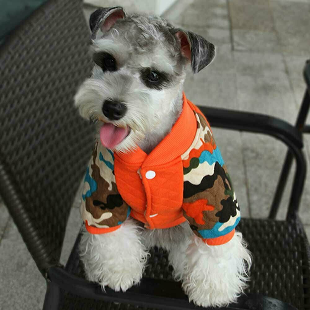 Topla, bombažna jakna za psa "28" - oranžna barva