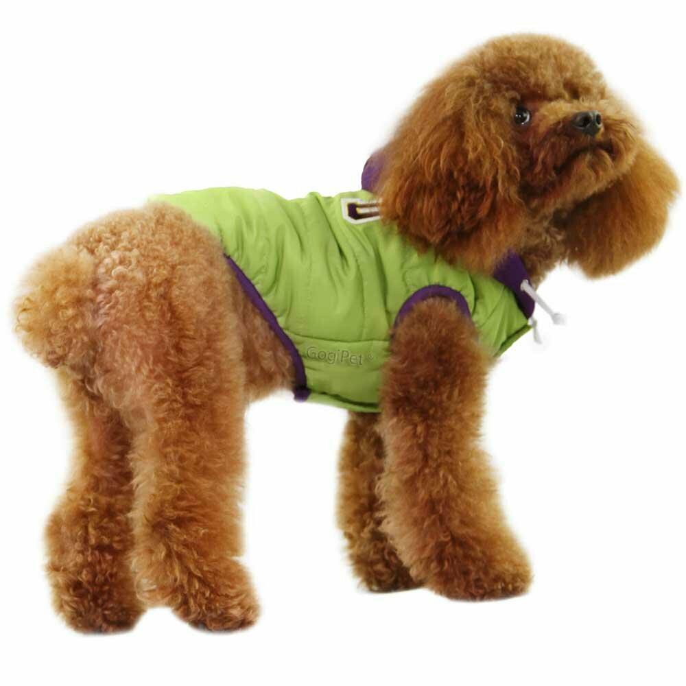 GogiPet®, zelena, zimska jakna za psa