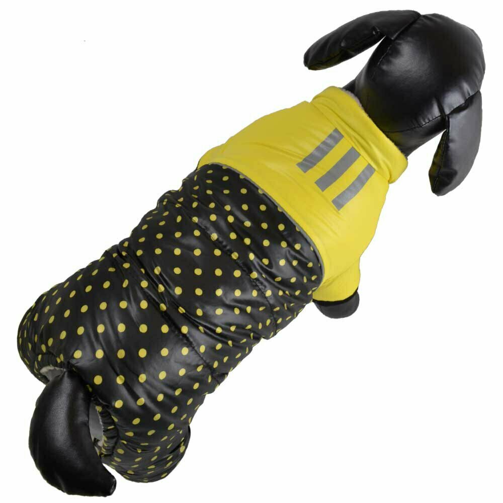 GogiPet zimski kombinezon za psa s pikami - rumena barva