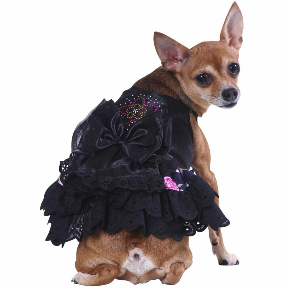 Elly elegantna obleka - oblačila za pse DoggyDolly