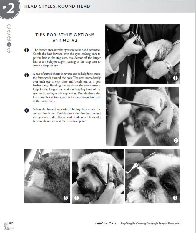 Knjiga o negi in striženju psov Theory of 5 - nazorne slike in kratki teksti