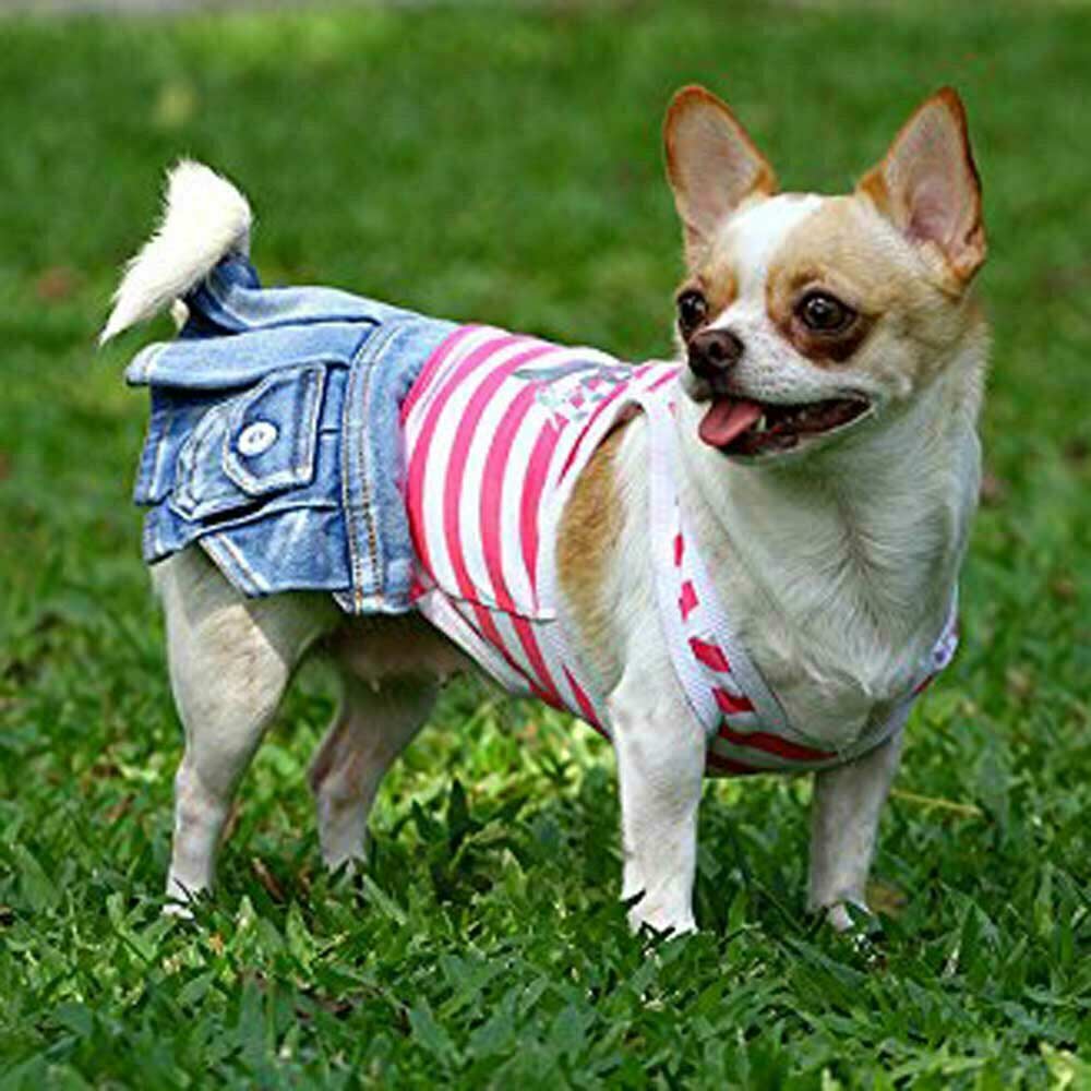 Komplet za pasje dame - oblačila za pse Pink Beauty