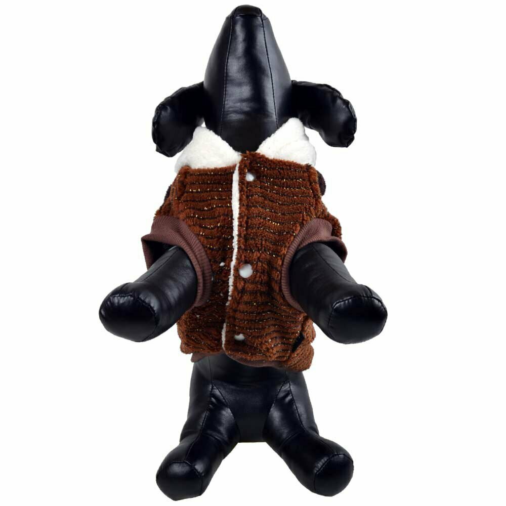 Zimska jakna za pse "Hugo" - rjava barva, obroba na odprtinah za tačke