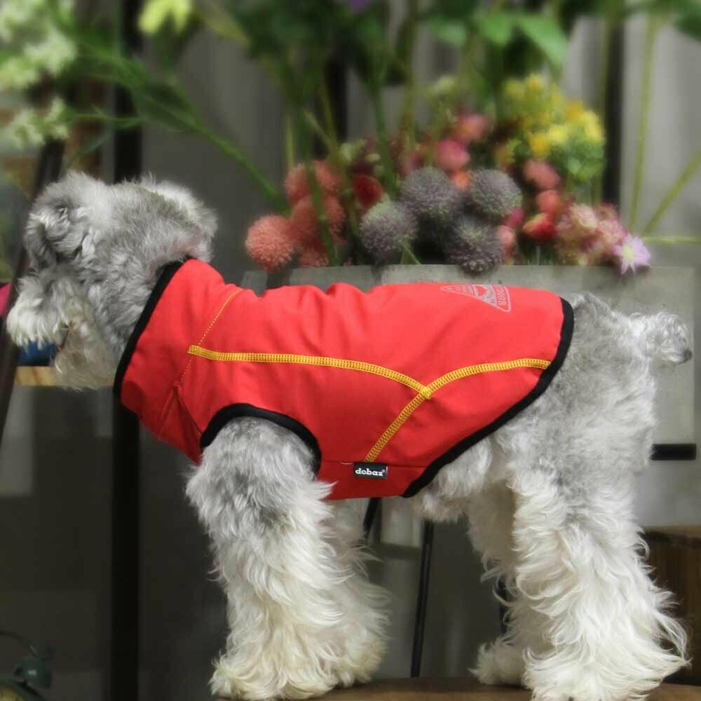 Udoben rdeč dežni plašček za psa brez rokavov "Klasik" 