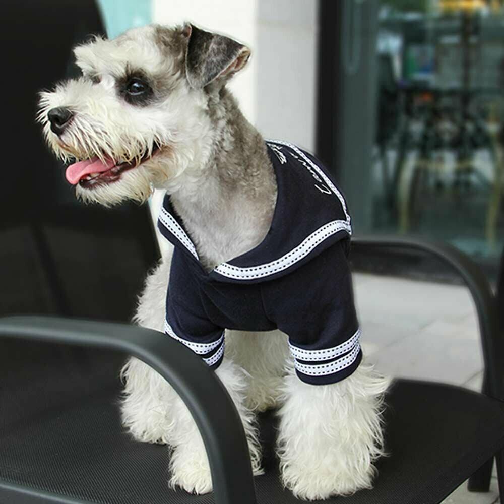 Modri, pulover za psa "I am a best sailor"
