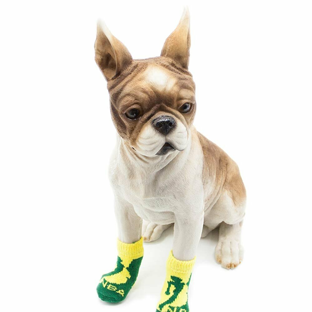 GogiPet športne nogavice za psa "NBA"