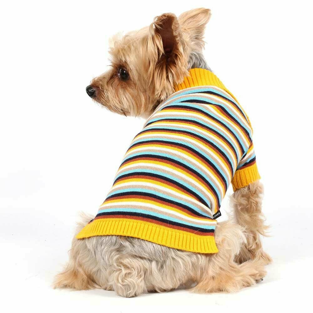 Pulover za pse "Sweater" - rumena barva