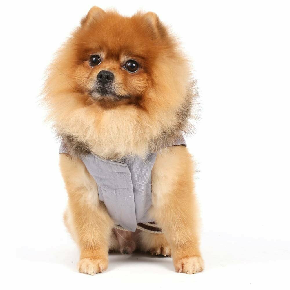 Extra topla jakna za pse - siva - DoggyDolly
