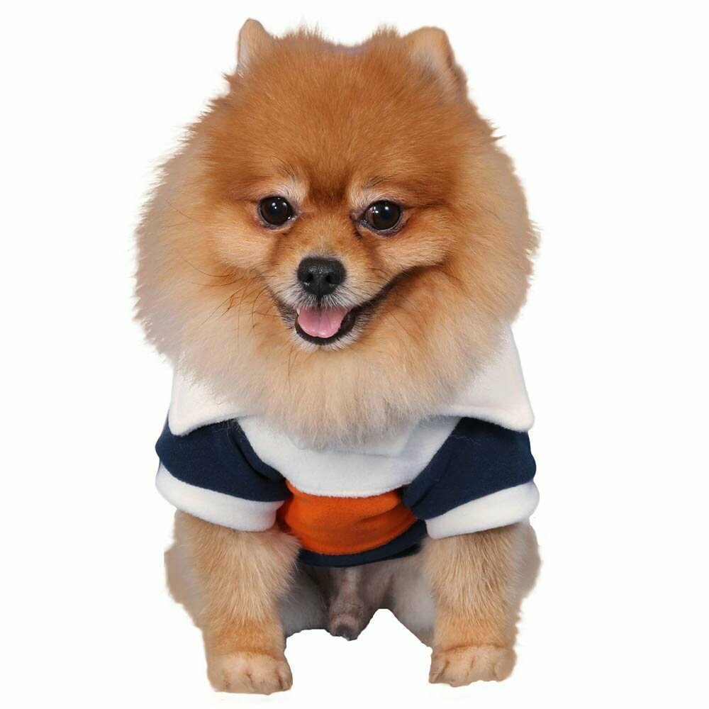 Ornžni puloverji za pse
