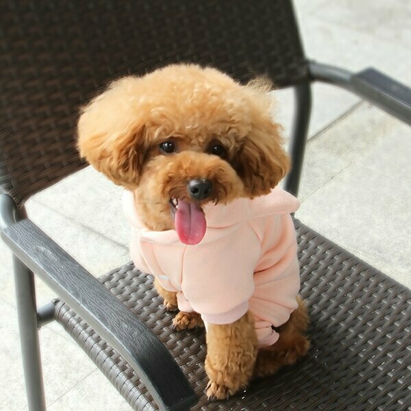 Udobno oblačilo za psa "Rožnata mačka"