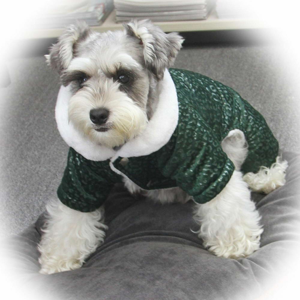 Zimski komplet za pse "Sofia" - zelena barva, udobno nošenje