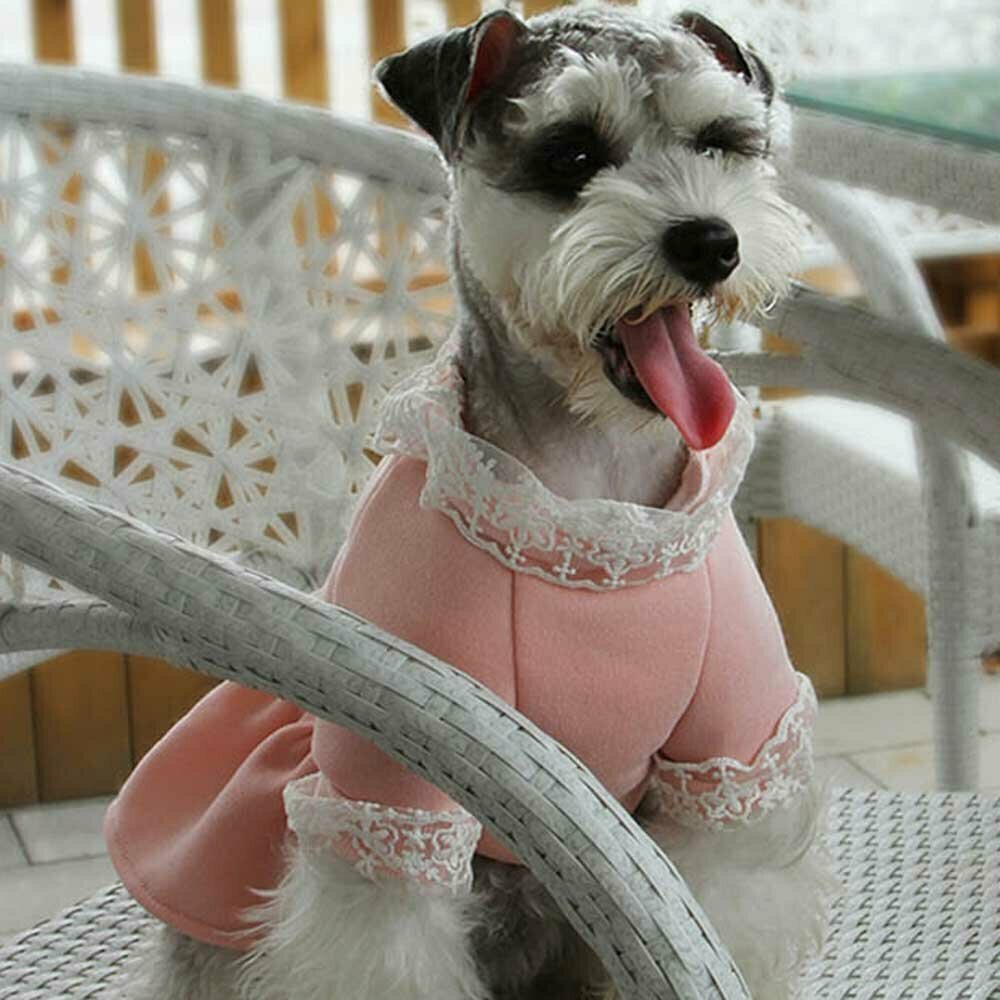 Rožnata obleka za pasje dame "Beautiful Winter" - čipkast ovratnik in rokavi