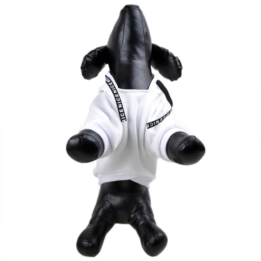 Udobni, športni pulover za pse "French Terry"  - bela barva