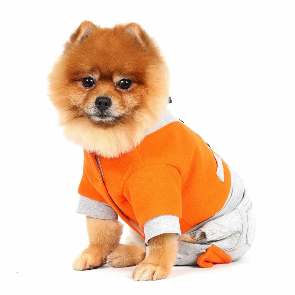 Komplet za psa, model na 4 tačke - Športno elegantno oblačilo DoggyDolly 