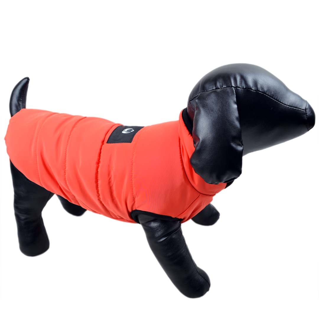 Anorak za pse - oranžna barva