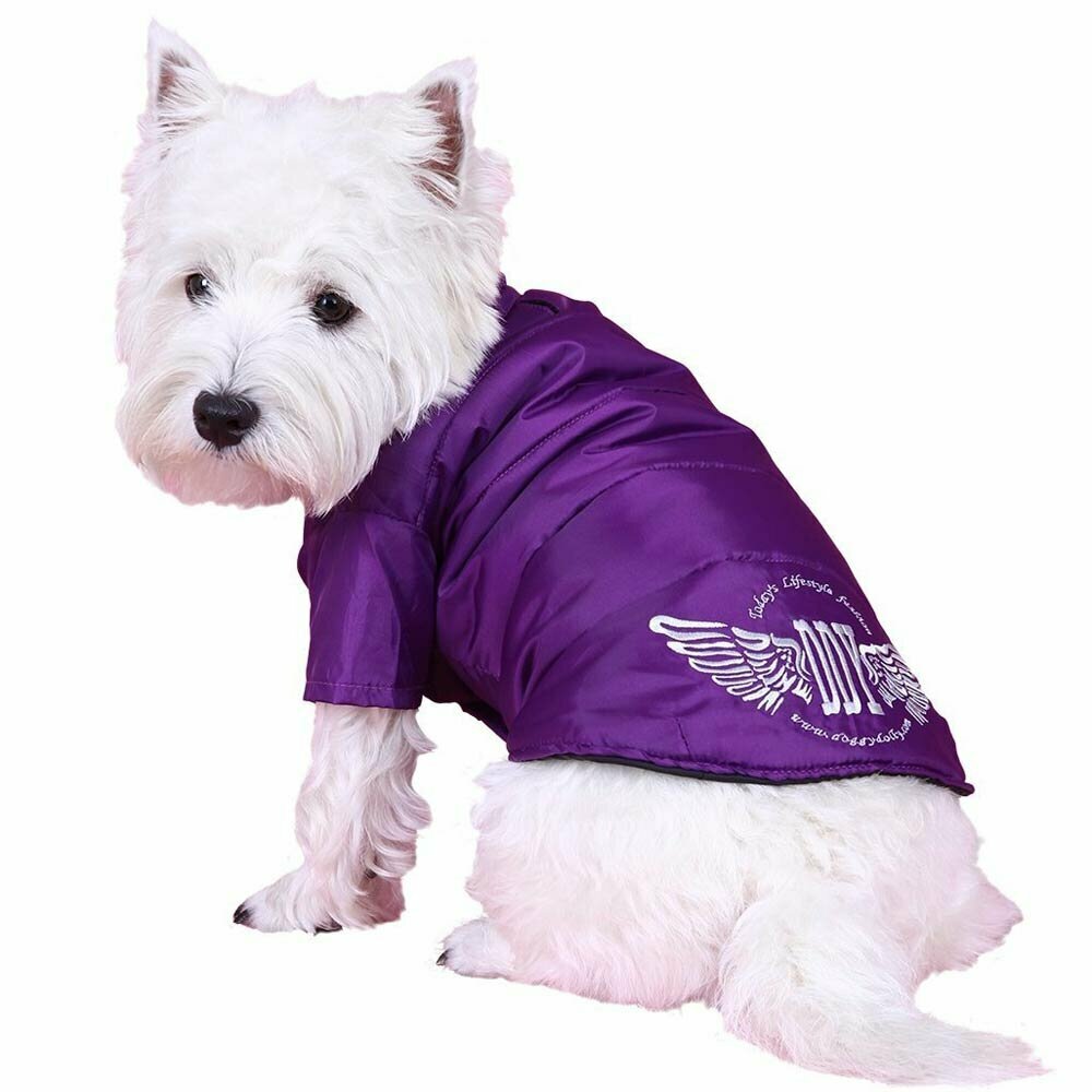 Zimska bunda za pse - lila - Oblačila za pse - DoggyDolly