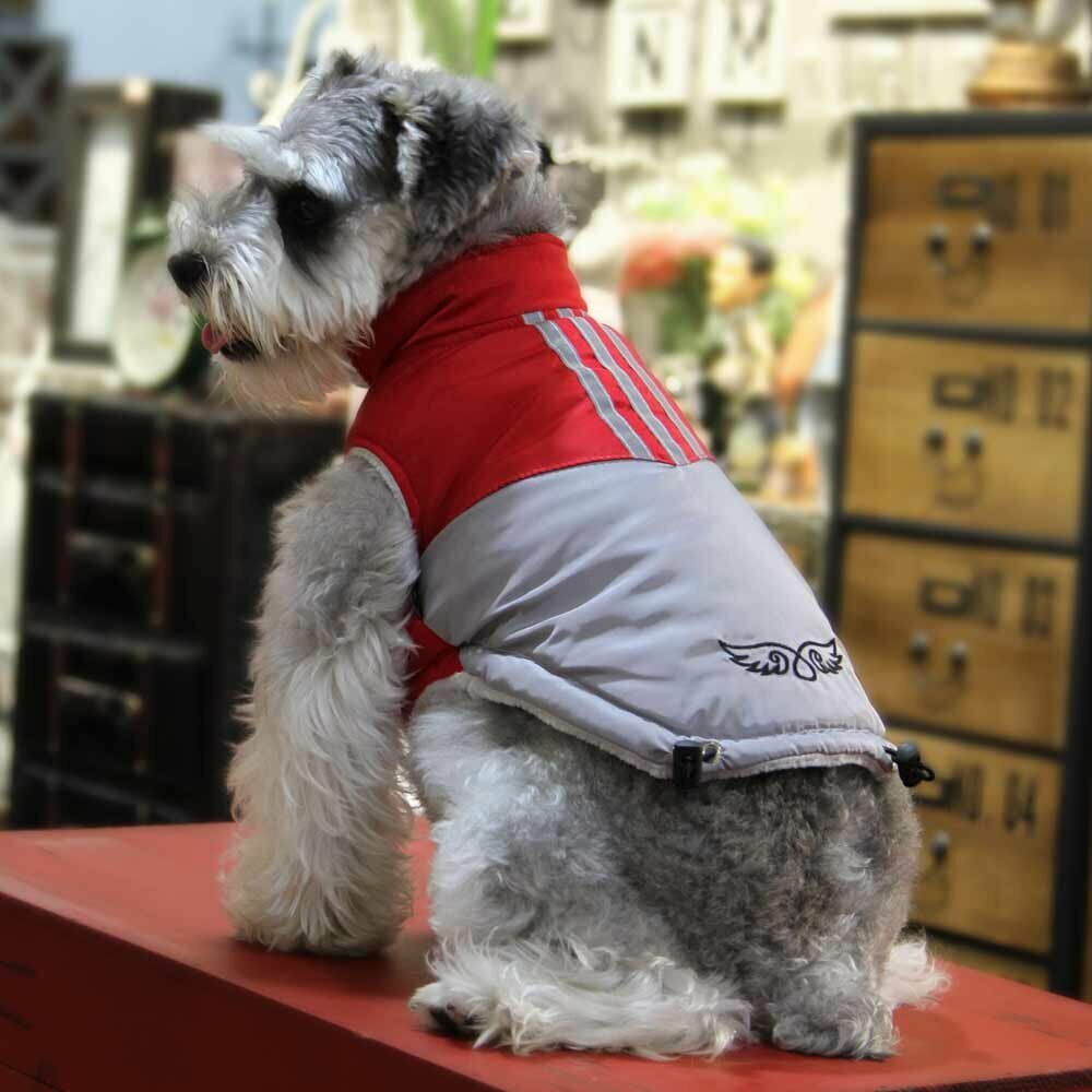 GogiPet zimska jakna za psa "Amor" - rdeča barva, zatezna vrvica