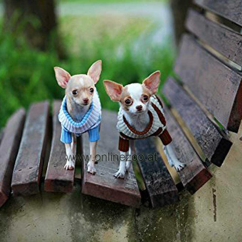 Pleten pulover za psa - modro bel DoggyDolly