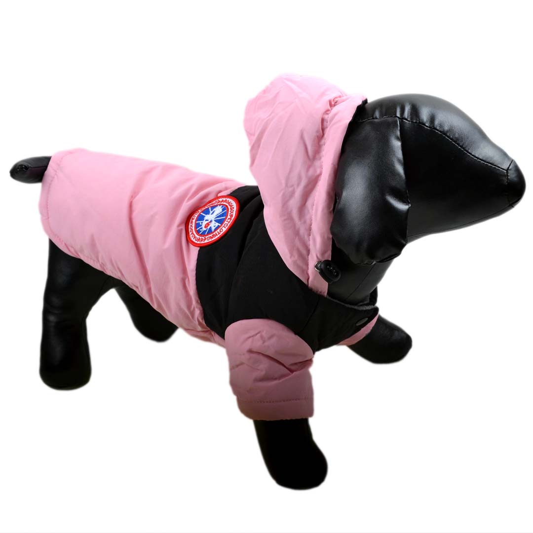 Podložena zimska jakna za pse - pink barva