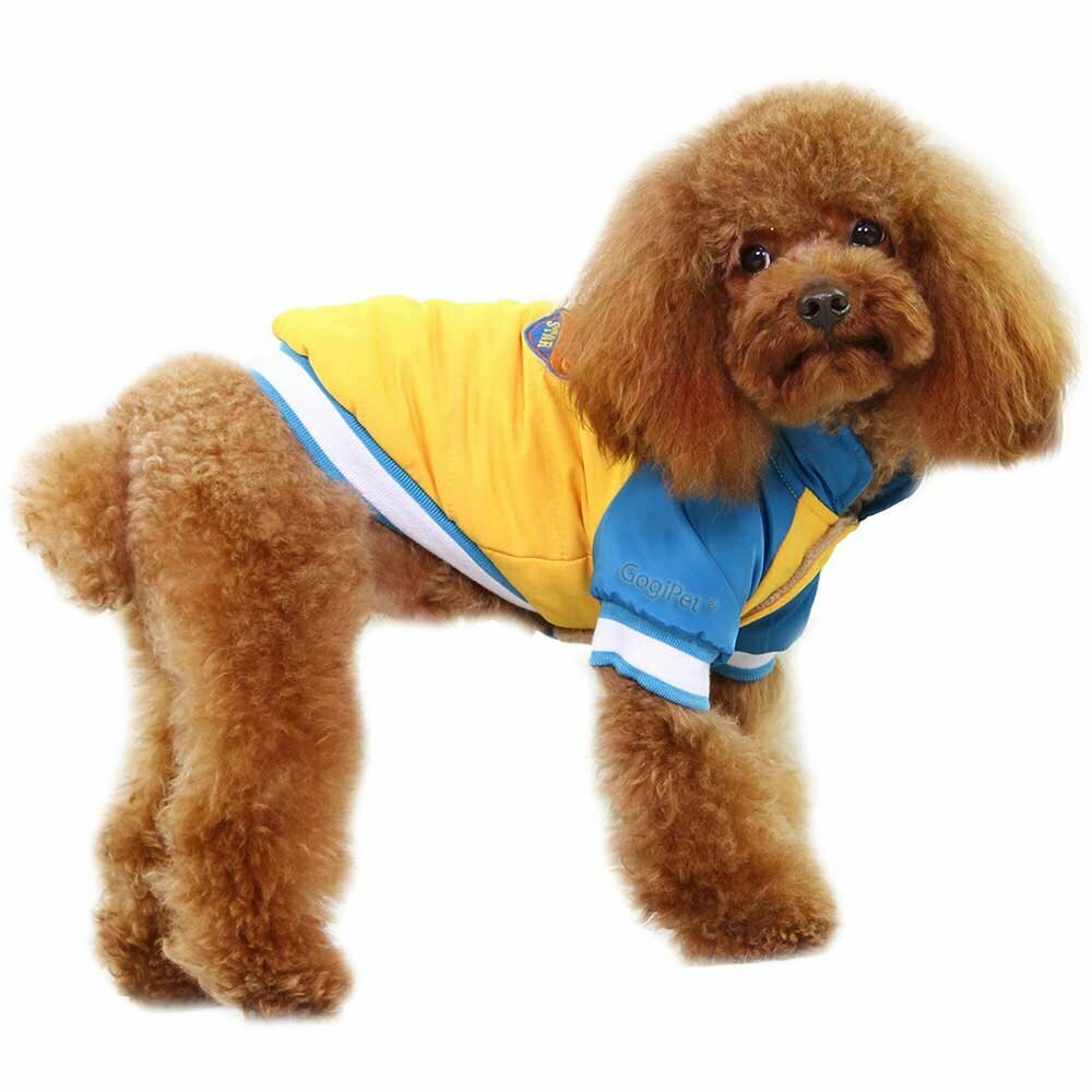 GogiPet® športna jakna za psa "Lucky Star" - rumena barva, podložen material