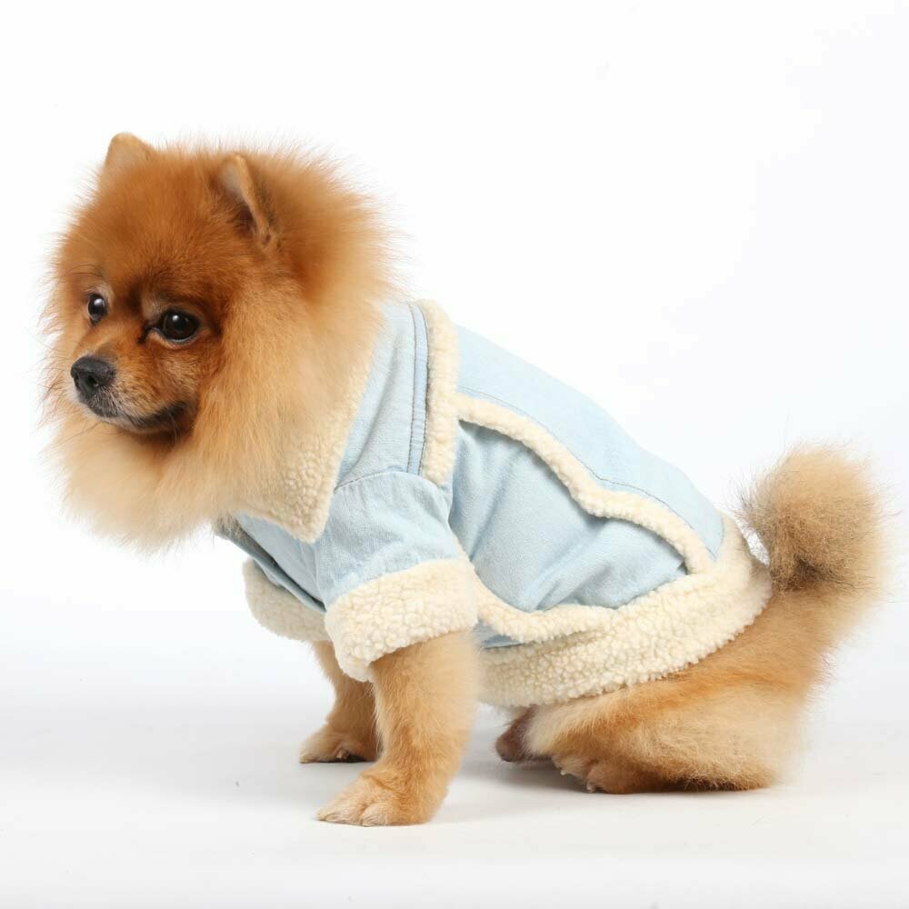 Zimska jakna za pse "Jeans" DoggyDolly oblačila DF003