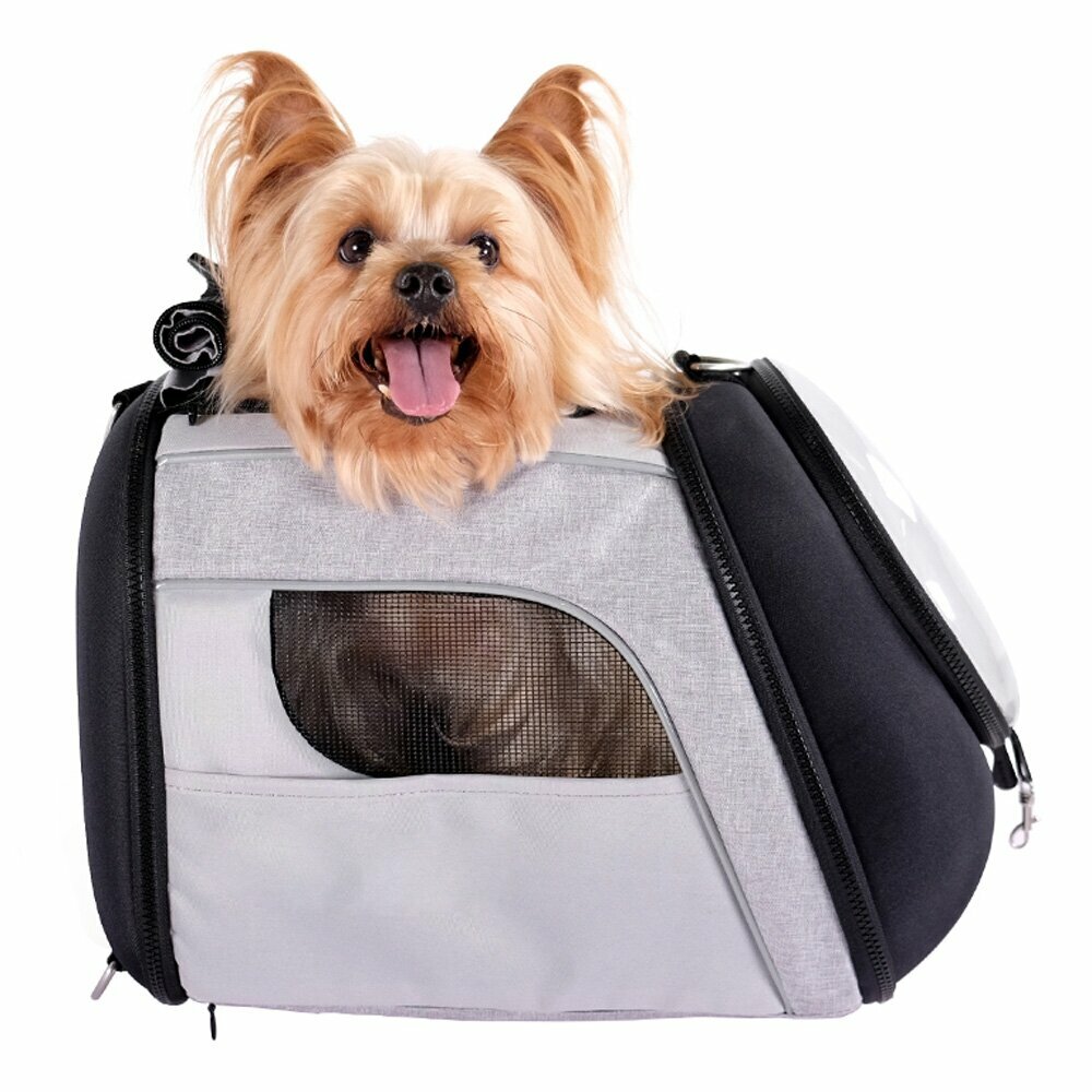 Inovativna torba za pse na potovanju z letali