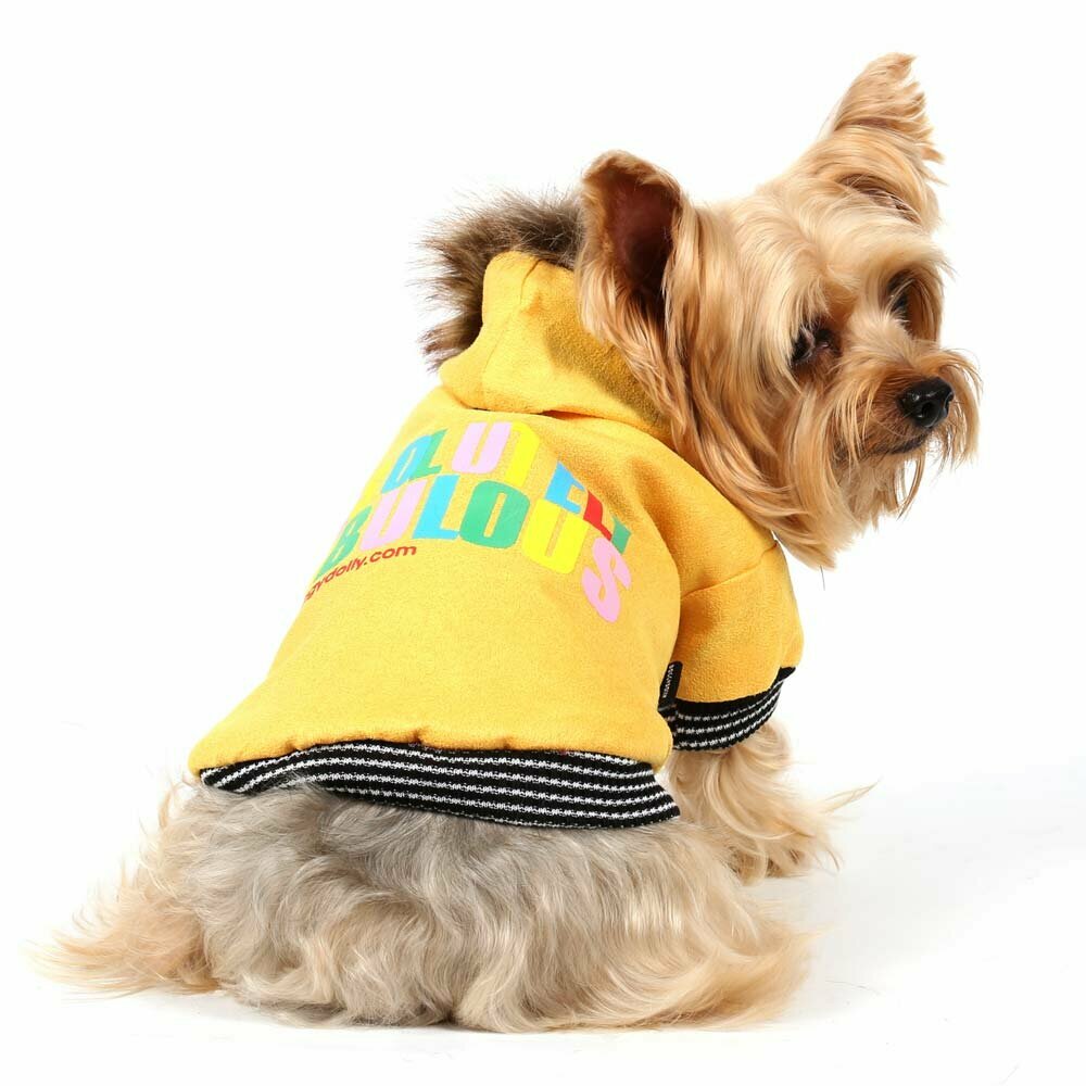 Zimska jakna za pse "Absolutely Fabulous" - rumena barva