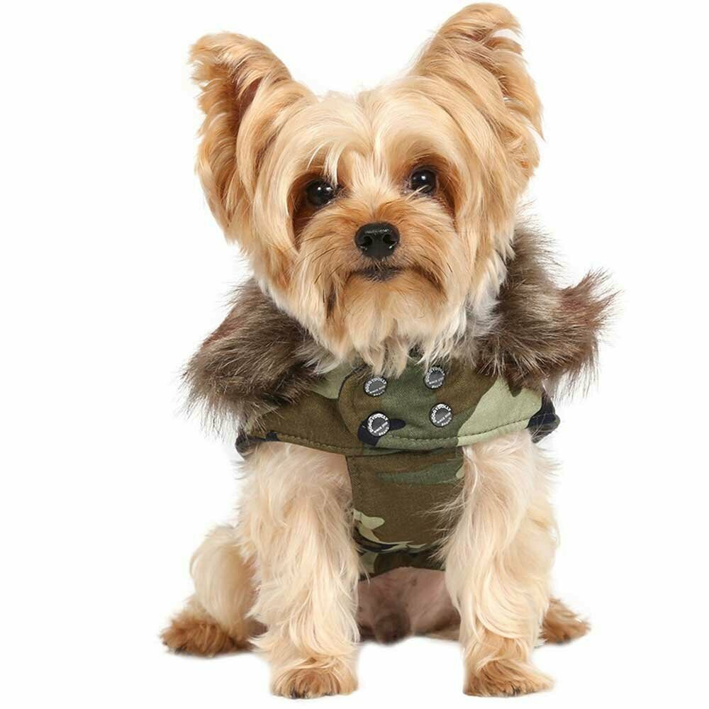Zimska jakna "Green camouflage" - pasja oblačila DoggyDolly