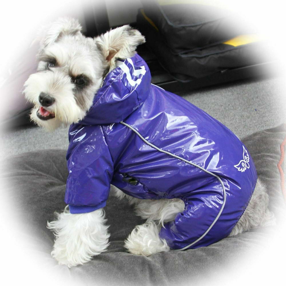 Zimsko oblačilo za psa "Jacop" - modra barva, udobno nošenje