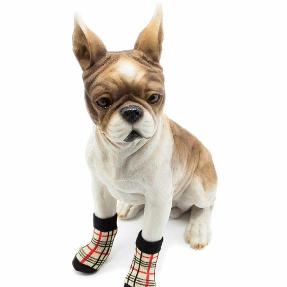 Zaščitne nogavice za psa GogiPet - karo vzorec