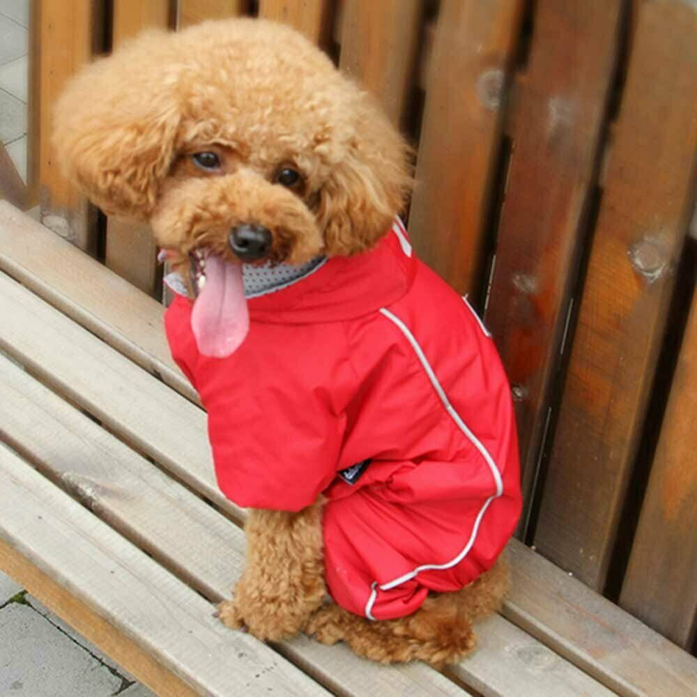 Modern, rdeč dežni plašč za psa