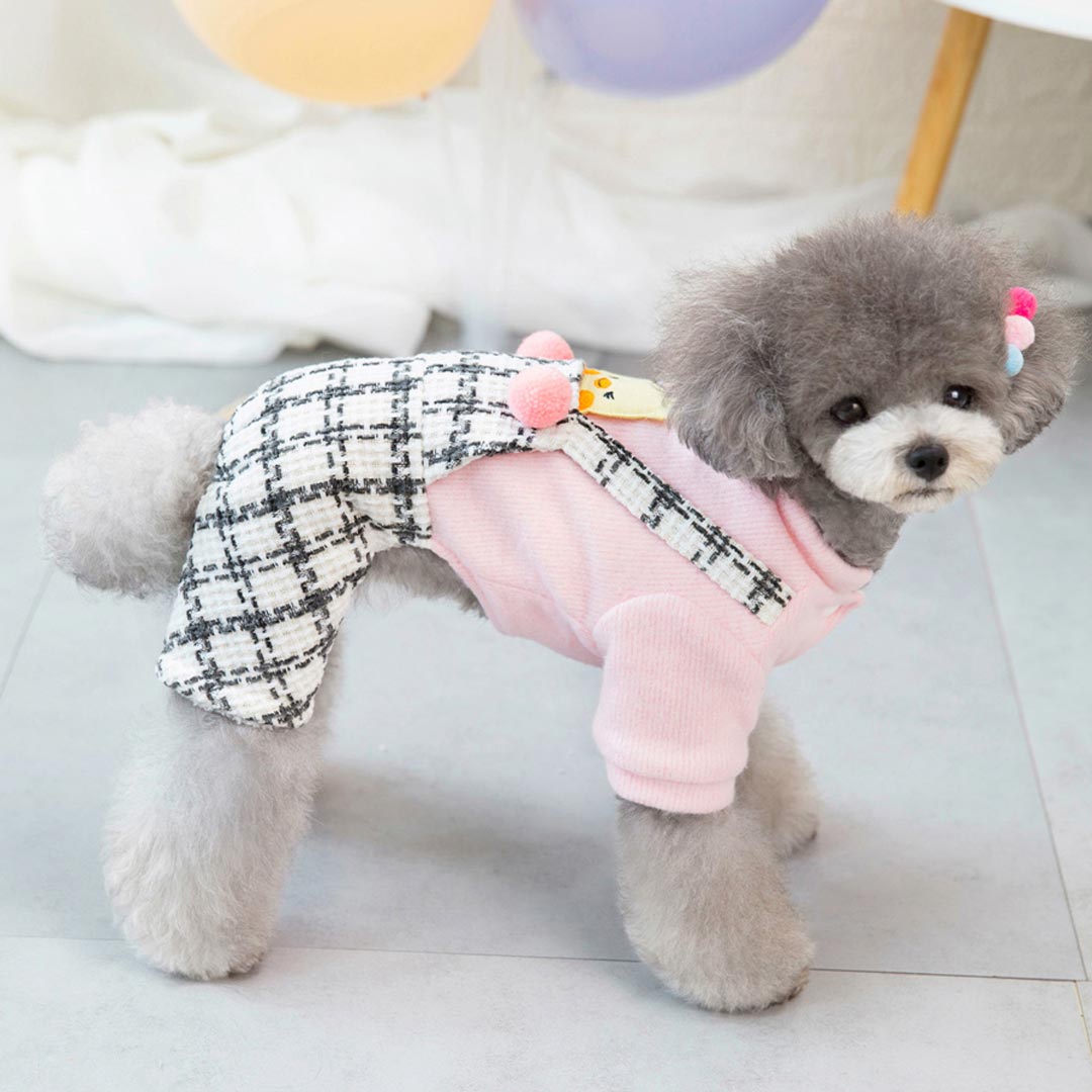 Komplet za pse "Piščanček" s puloverjem in hlačami - rožnata barva