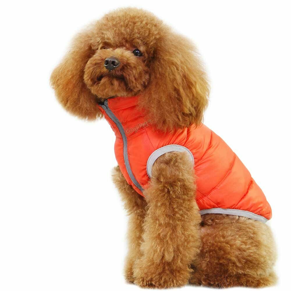 Zimska, dvostranska puhovka za psa - oranžna in zelena barva