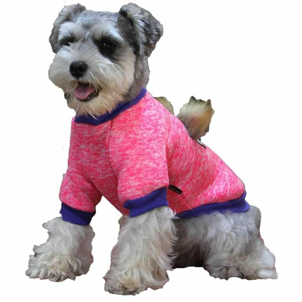 Moderen, pulover za psa "Pretty eyes" - pink barva