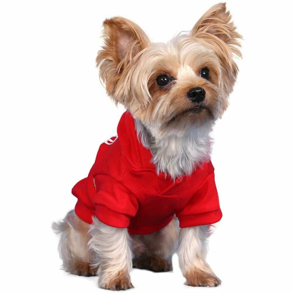 Majica za pse Royal Red  - DoggyDolly W031