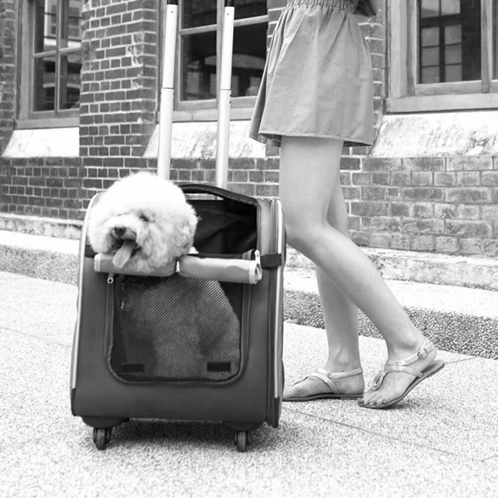 Kovček s kolesi za potovanja s psom