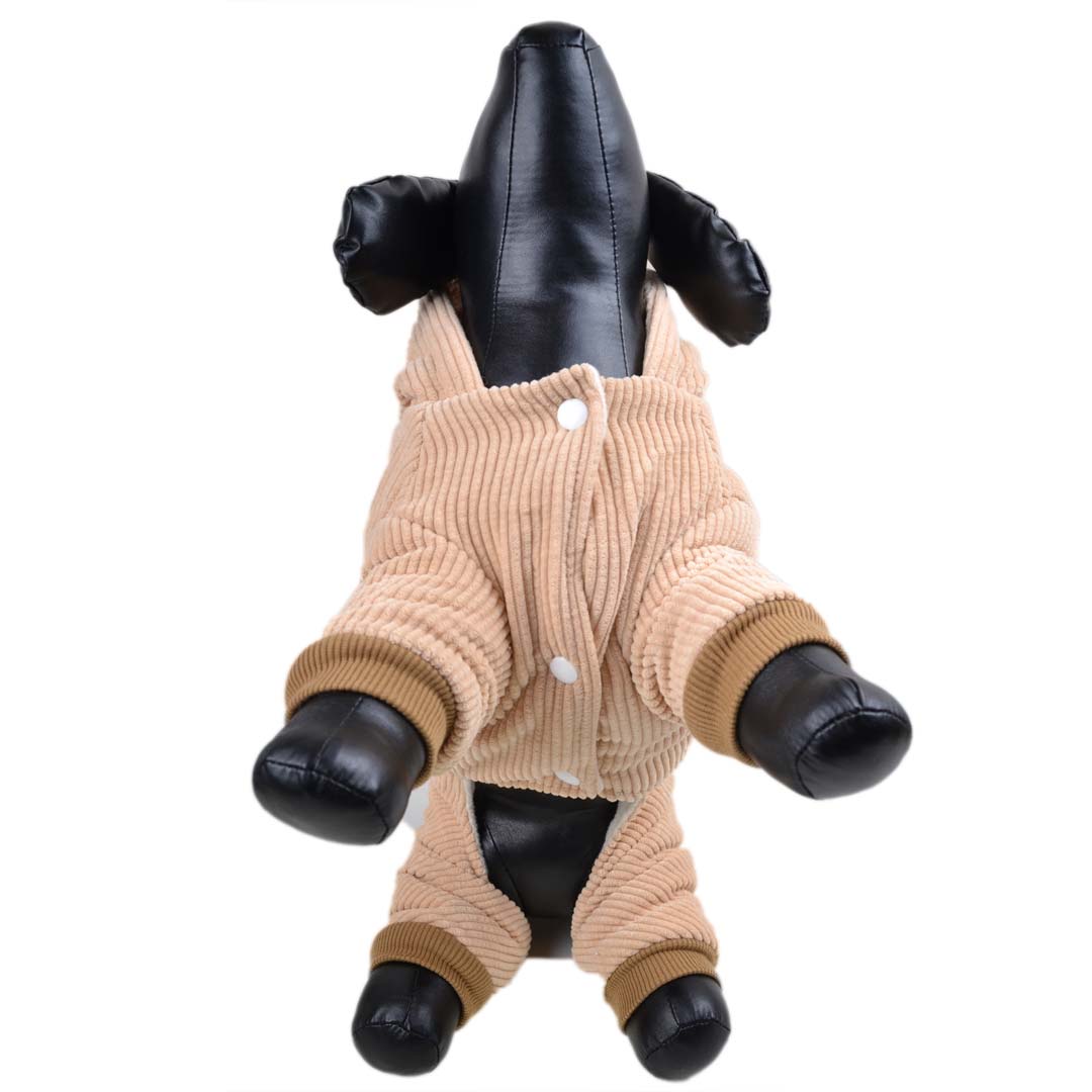 Žametni plašč za pse z zapenjanjem s kovicami - rjava barva