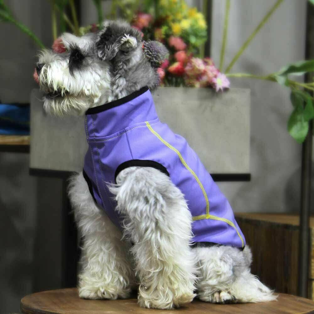 Lila dežni plašč za pse iz neoprena primeren tudi za pse, ki niso navajeni na nošenje oblačil