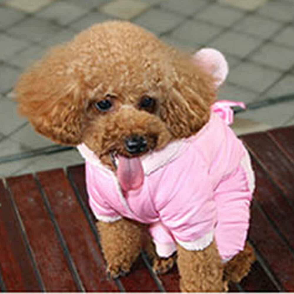 Zimski kombinezon za psa "Pink miška" - kapuca z ušesi