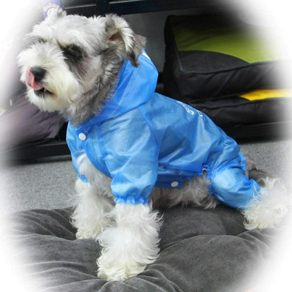 Prosojen, modri dežni plašček za pse "Walking in the Rain" - Nepremočljivi dežni plaščki za pse