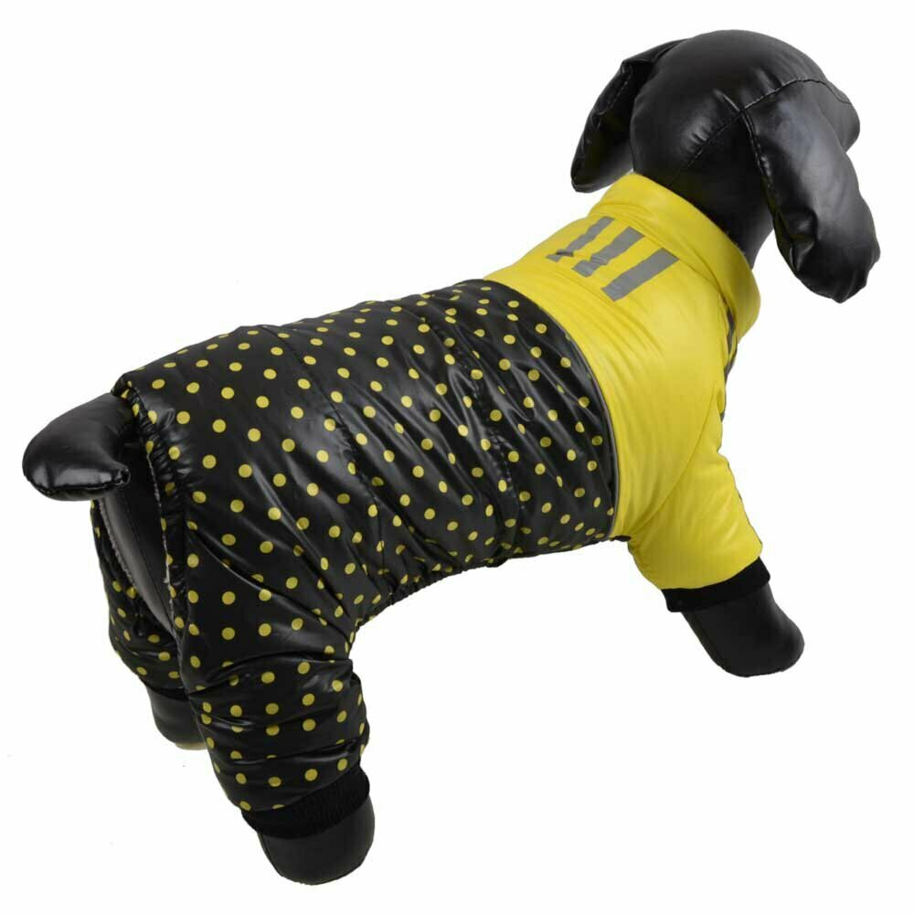 Zimski kombinezon za psa s pikami - rumena barva