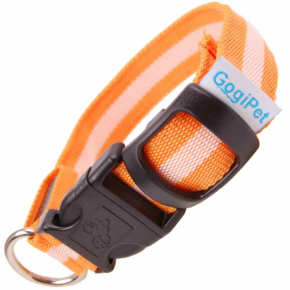 GogiPet® svetleča ovratnica za pse "Slim Line" - oranžna barva, velikost L