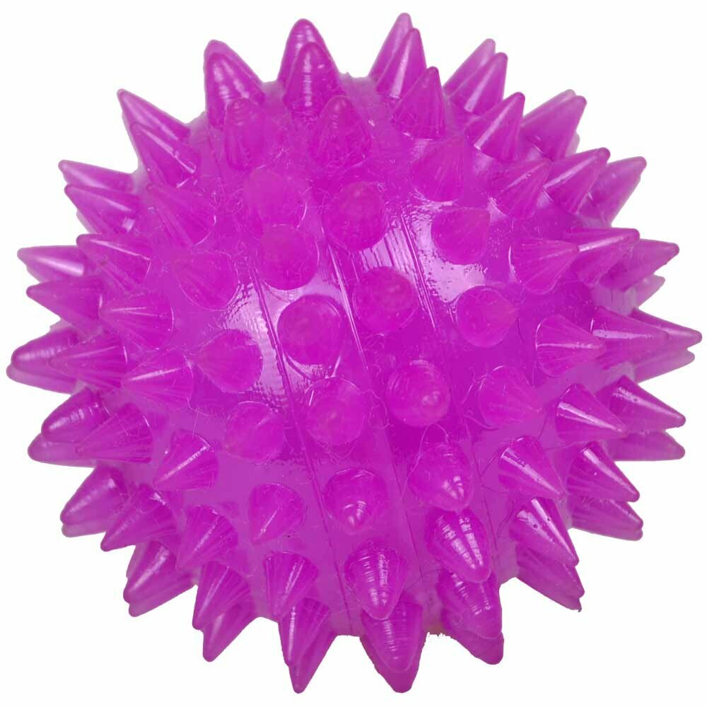 Svetleča žoga za psa - vijolična barva, premer 10 cm 